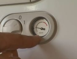 Peteklerin Suyu Nasıl Kontrol Edilir?